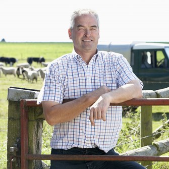 Other grazing animals thumbnail