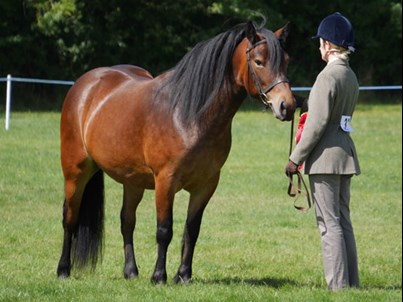 Is your horse  picture of health on the inside as well as the outside?