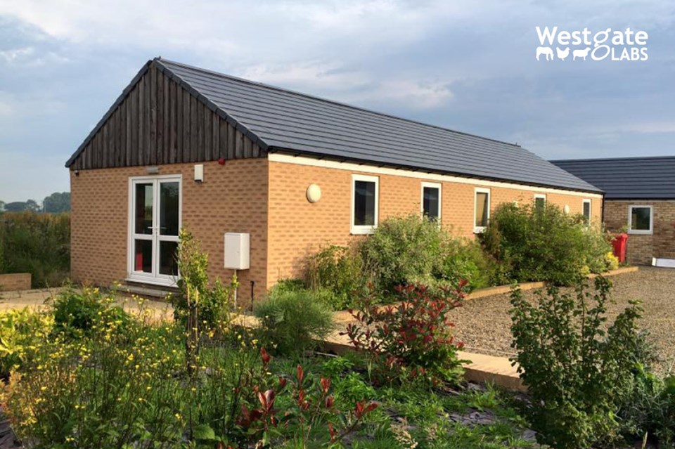 Westgate Labs and the Environment