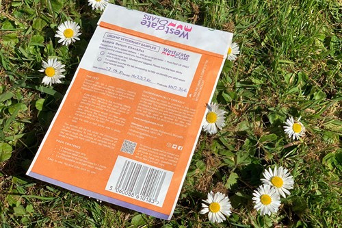 The pouch becomes the return envelope