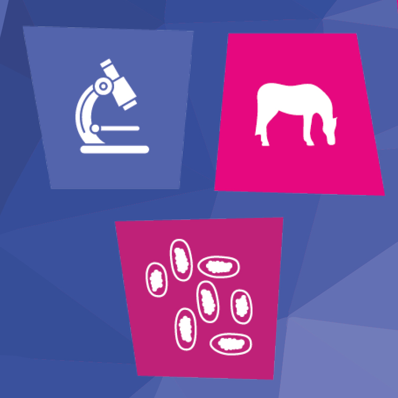 Image of Worm egg count (1 ENV)