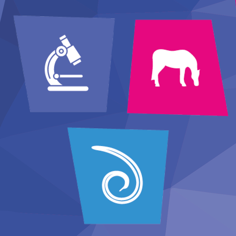 Image of Equine Lungworm Test Kit