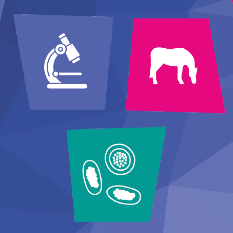 Image of Winter reduction test after wormer
