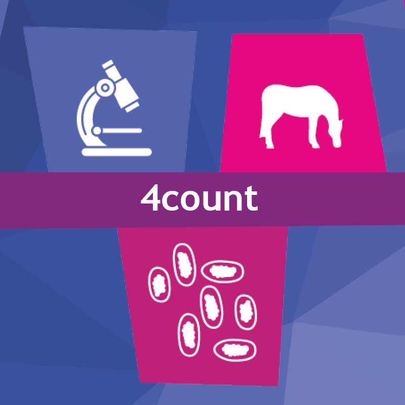 Image of 4Count Season Pack