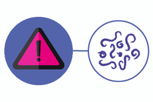 Chicken parasite infection risk