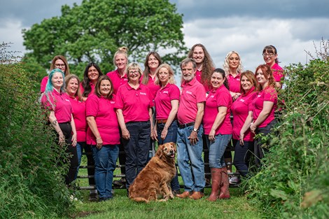 MEET THE TEAM